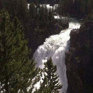 Meet your Posher, Ruth